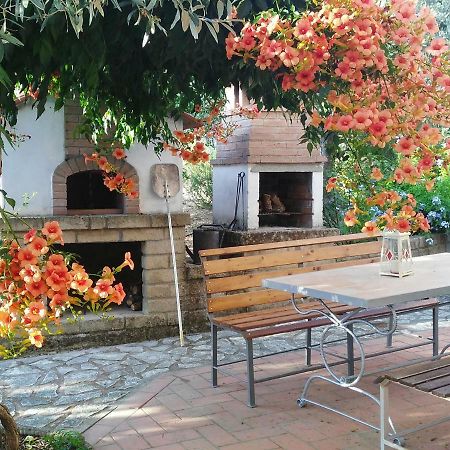 Apartament Casa Di Giulia Santa Luce Zewnętrze zdjęcie