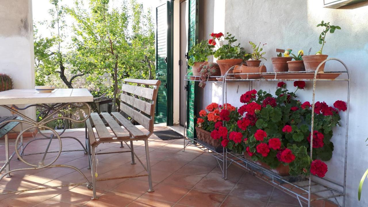 Apartament Casa Di Giulia Santa Luce Zewnętrze zdjęcie