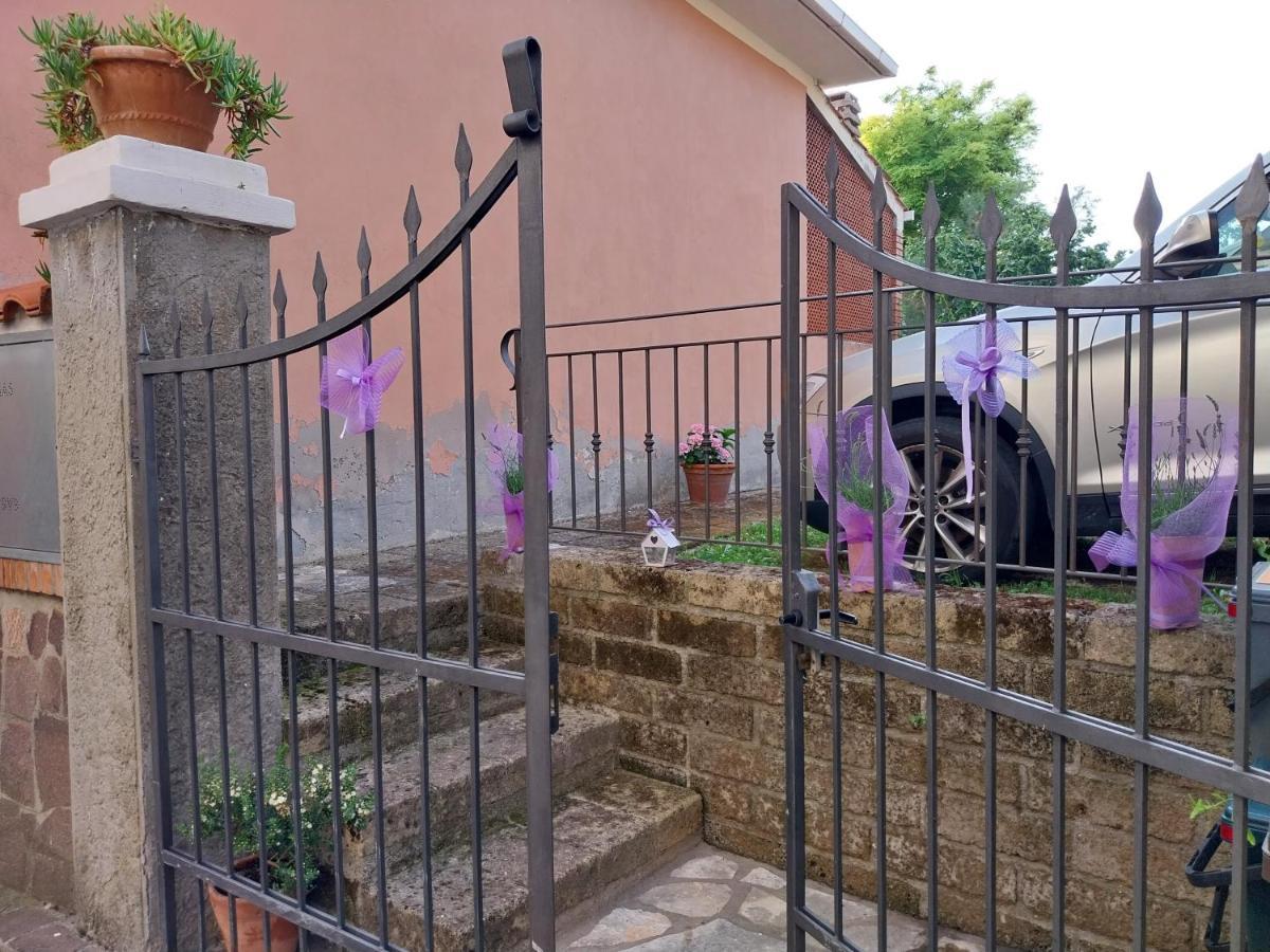 Apartament Casa Di Giulia Santa Luce Zewnętrze zdjęcie