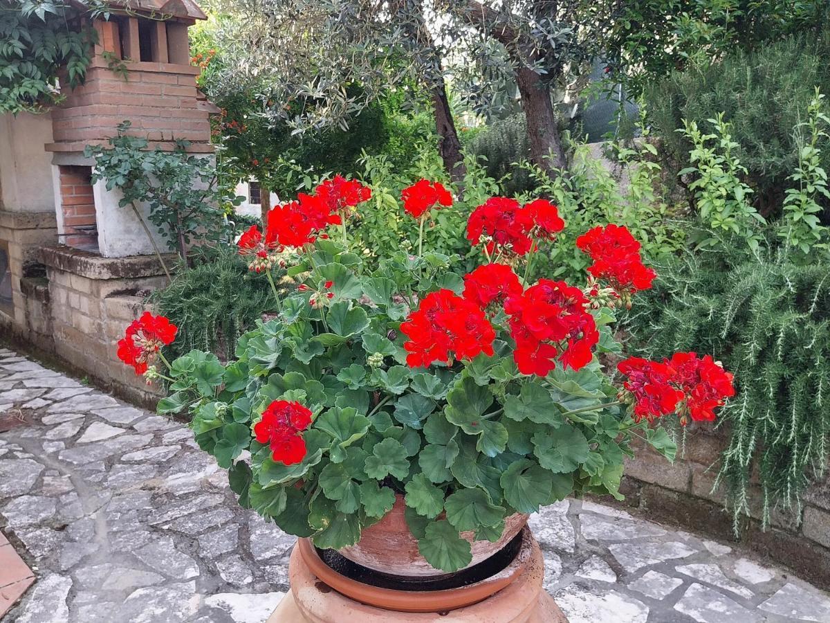 Apartament Casa Di Giulia Santa Luce Zewnętrze zdjęcie